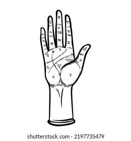 Vintage Hands. Hand drawn sketchy illustration with mystic and occult hand drawn symbols. Palmistry concept. Vector illustration. Spirituality, astrology and esoteric concept.