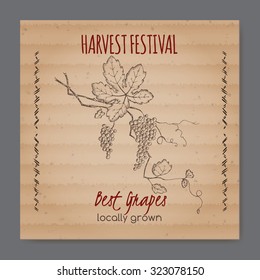 Vintage harvest festival label with grapevine. Placed on original cardboard texture. Includes hand drawn elements. 