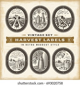 Vintage Harvest Labels Set. Editable EPS10 vector illustration in retro woodcut style with clipping mask and transparency.