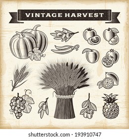 Vintage harvest set. Fully editable EPS10 vector.