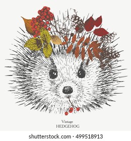 vintage hedgehog with a wreath on the head of autumn leaves.vector.print on t-shirt
