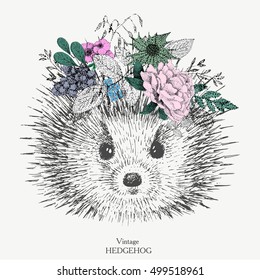 vintage hedgehog with a wreath on her head of flowers.vector.print on t-shirt