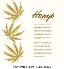 Vintage Hemp leaves. Vector Composition - Copy Space