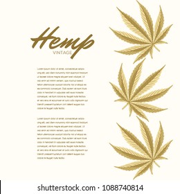 Vintage Hemp leaves. Vector Composition - Copy Space