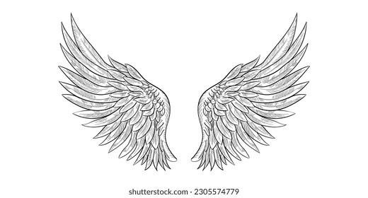 Vintage heraldic wing sketch. Doodle stylized bird wings. Hand drawn wing in open position. Angel wings sketch, Religious of Christianity hand drawn vector illustration