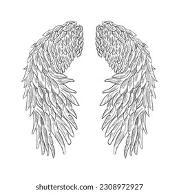 Vintage heraldic wing sketch. Doodle stylized bird wings. Hand drawn wing in open position. Angel wings sketch, Religious of Christianity hand drawn vector illustration