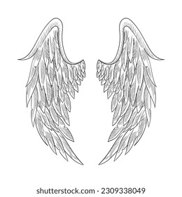 Vintage heraldic wing sketch. Doodle stylized bird wings. Hand drawn wing in open position. Angel wings sketch, Religious of Christianity hand drawn vector illustration