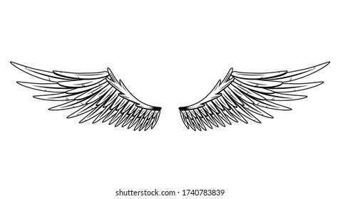 Vintage heraldic wings. Monochrome stylized birds wings. Design elements in coloring style. Abstract sketch