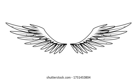 Vintage heraldic wings. Monochrome stylized birds wings. Design elements in coloring style. Abstract sketch