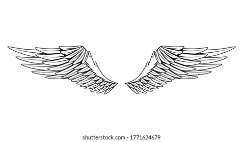 Vintage heraldic wings. Monochrome stylized birds wings. Design elements in coloring style. Abstract sketch