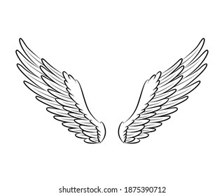 Vintage heraldic wings sketch. Monochrome stylized birds wings. Hand drawn contoured stiker wing in open position. Design elements in coloring style