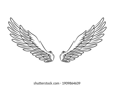 Vintage heraldic wings sketch. Monochrome stylized birds wings. Hand drawn contoured stiker wing in open position. Design elements in coloring style