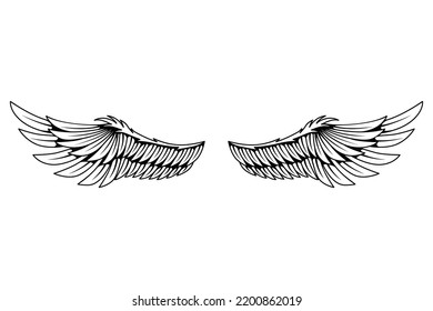 Vintage heraldic wings sketch. Monochrome stylized birds wings. Hand drawn contoured stiker wing in open position. Design elements in coloring style