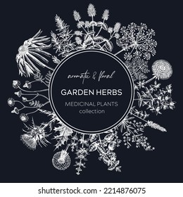 Vintage herb wreath on chalkboard. Aromatic plants design in sketched style. Herbal tea ingredients. Hand-drawn herbs banner for cosmetics, perfumery, and herbal medicine. Floral card template  
