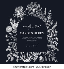 Vintage herb wreath on chalkboard. Aromatic plants design in sketched style. Herbal tea ingredients. Hand-drawn garden herb banners for cosmetics, perfumery, and herbal medicine. Floral card  template