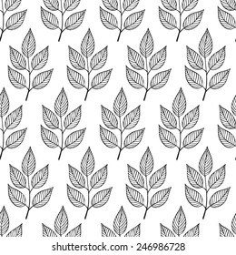 Vintage herbal black and white pattern. Seamless background with leaves. Vector image.