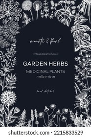 Vintage herbs card design on chalkboard. Sketched aromatic plants frame in color. Botanical design. Herbal tea ingredients. Hand-drawn medicinal herbs cover, invitation, banners, stickers, packaging. 