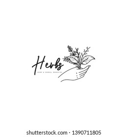 Vintage herbs logo in black and white. Herbs held by hand logo template. Botanical in hand logo template