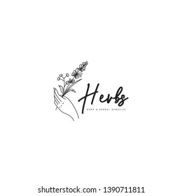 Vintage herbs logo in black and white. Herbs held by hand logo template. Botanical in hand logo template