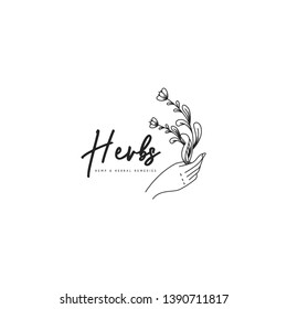 Vintage herbs logo in black and white. Herbs held by hand logo template. Botanical in hand logo template