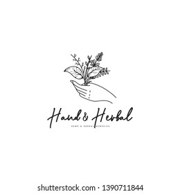 Vintage herbs logo in black and white. Herbs held by hand logo template. Botanical in hand logo template