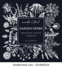 Las hierbas vintage eran una corona. Plantas aromáticas esbozadas bordean. Diseño botánico. Dibujos de ingredientes de té a base de hierbas. Pancartas florales hechas a mano para cosméticos, perfumería, medicinas a base de hierbas. Tarjeta floral en pizarra