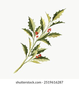 Ilustração de planta holly vintage, folhas verdes e bagas vermelhas brilhantes. Folhas de Natal azevinho, decorações de férias de inverno. Ilustração de desenho de Natal vintage holly, ilustração de arte de Natal