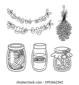 Vintage home pantry Food Supplies vector set. Homemade ingredients, Preserves, glass Jar, canned jam, honey and pickles, dried lavender and mushrooms on the rope. Elements isolated, coloring page