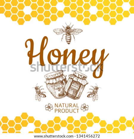 Vintage honey logo and background with vector bee, honey jars and honeycombs