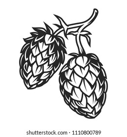 Vintage hop cones concept for brewery in monochrome style isolated vector illustration