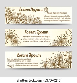 Vintage horizontal banners template design with dandelions. Vector illustration