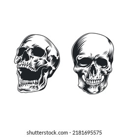 Vintage human skull concept vector