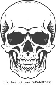 Vintage Human Skull vector Hand Drawn illustration on a white background