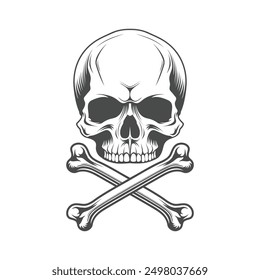 Vintage Human Skull vector Hand Drawn illustration on a white background