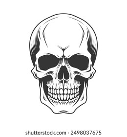 Vintage Human Skull vector Hand Drawn illustration on a white background