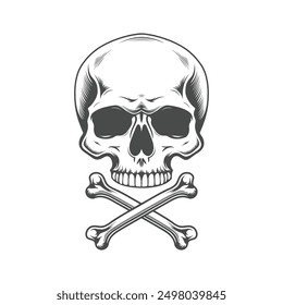 Vintage Human Skull vector Hand Drawn illustration on a white background