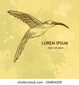 Vintage hummingbirds. Vector