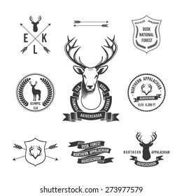 Vintage hunting set of a labels, badges and decor elements. vector illustration for your design.