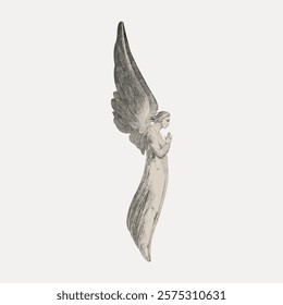 Vintage illustration of an angel with large wings. The angel, with wings, is in a classic, ethereal style. Angelic and serene wings. Vintage art drawing illustration, painting art vector.