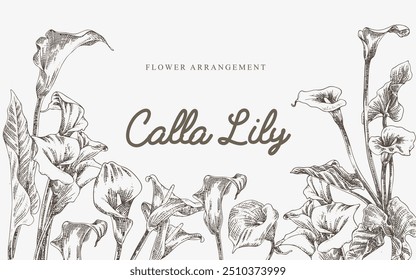 vintage illustration of a calla lily flower arrangement. This classic and detailed design captures the charm of retro floral art, perfect for adding a touch of sophistication and historical beauty.