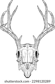 Vintage illustration of a deer skull drawing is tattoo element. The hand-drawn and artistic design features intricate antlers and bones in a rustic style.