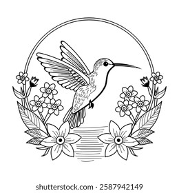 Vintage illustration depicting a fling hummingbird