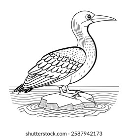 Vintage illustration depicting a northern gannet bird