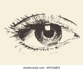 Vintage Illustration Of An Eye, Hand Drawn, Sketch