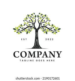 Vintage illustration of the Family Tree of Life logo Stamp Seal silhouette Oak Banyan Maple logo vector design