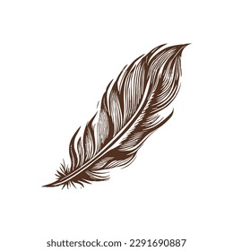 Vintage illustration of a feather. an old-school drawing of a bird feather. Aesthetic retro logo of a quill isolated on white background. vector sketch.