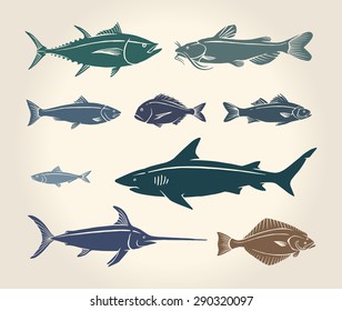 Vintage illustration of fish and seafood over white background