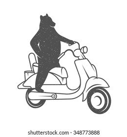 Vintage Illustration fun bear with grunge effect for posters and t-shirts. Funny bear on scooter on a white background