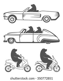Vintage Illustration fun bear with grunge effect for posters and t-shirts. Funny bear on car and scooter on a white background
