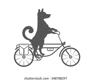 Vintage Illustration fun dog with grunge effect for posters and t-shirts. Funny dog on a bike on a white background
